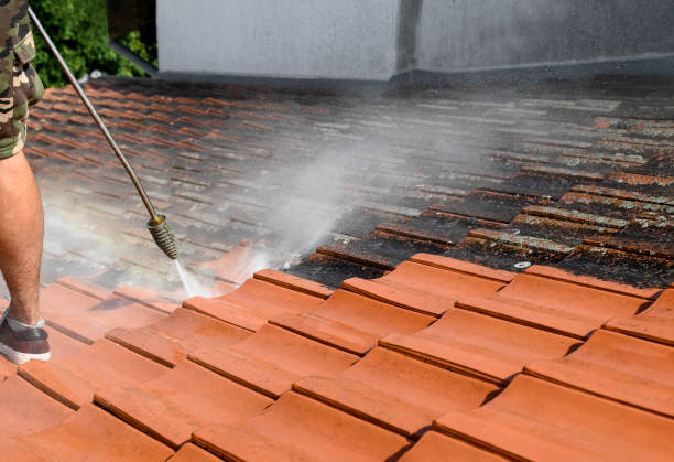 Best Affordable Pressure Washing  in Ruston, WA