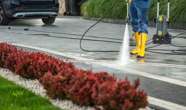 Local Pressure Washing Services in Ruston, WA